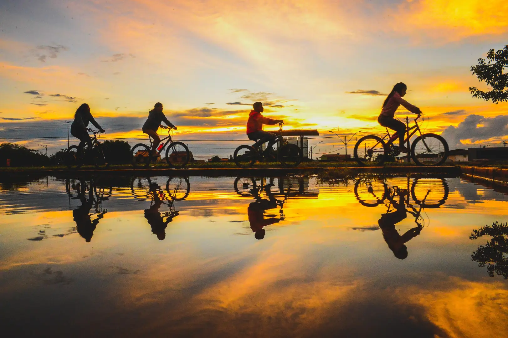 Silhouette of cyclists riding at sunset